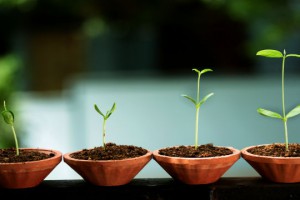 is-hayatinda-kendini-gelistir-yolunu-benden-ogren-eren-caner