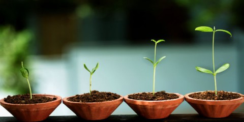 is-hayatinda-kendini-gelistir-yolunu-benden-ogren-eren-caner