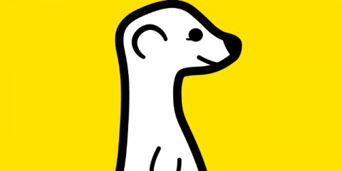 meerkat-twitterin-merkezinde-yer-almayi-planliyor-main-eren-caner