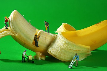 sistemli-yasiyoruz-sistemli-main-eren-caner