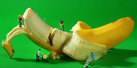 sistemli-yasiyoruz-sistemli-main-eren-caner