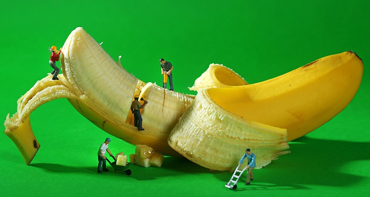 sistemli-yasiyoruz-sistemli-main-eren-caner